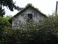 Hausansicht mit Hecke